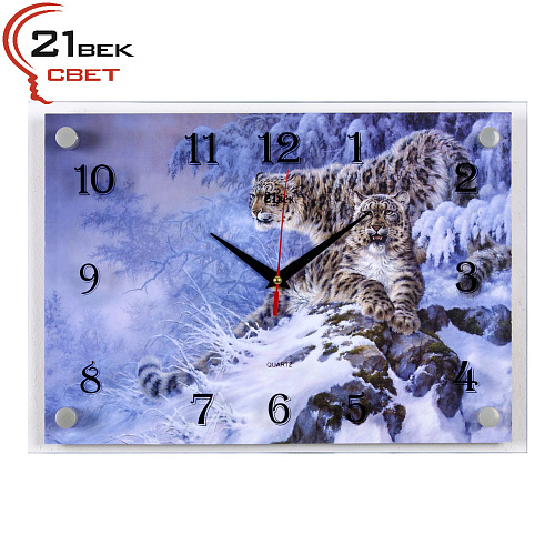 2535 1197 (5) Часы настенные "21 Bek"