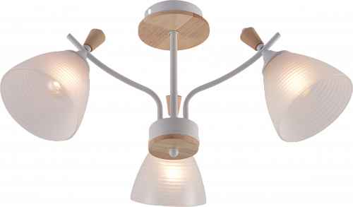 AU12104/3 WH+WOOD Светильник потолочный, Ø600*280, E27*60W Белый+Дерево