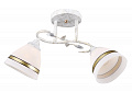 AU35633A/2 WT+SGDSP Светильник потолочный E27 2*60W Белый матовый