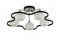 *COLOSSEO optima 72104/5C