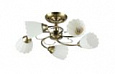 *COLOSSEO optima 72153/5C