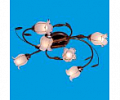 Потолочные классика 81594A/6BGD WT*2