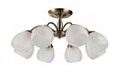 *COLOSSEO optima 72122/8C