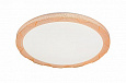 62007/400 Мандариновый Светильник LED/2758-5364Lm/24+24W Max 3800К-6500К Многофункциональный СВК