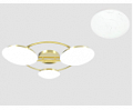 012-3(M1) GD  (1)
