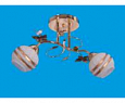 Люстра 6V/2FGD WT
