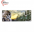 5020 СН R 799 Часы настенные  "21 Bek" -  "" (50x20) (5)															
