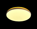 M1029-400 54W YL 000021513