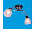 Люстра 37551A/2BK+ CR WT