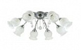 *COLOSSEO optima 72204/8C