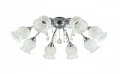 *COLOSSEO optima 72204/8C