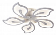 AU6313/5 WH Люстра Корпус Белый LED 5*20W/3000-6000K ПДУ