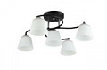 *COLOSSEO optima 72127/5C