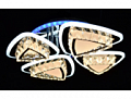 Светильник "МС-LI8402/2+2 CR(RGB) Led 152W+8W 3000K+4000K+6500 [01094987]"