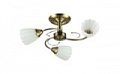 *COLOSSEO optima 72153/3C