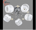 1698YX/5 (4) Светильник бытовой потолочный (220V 15W E27)