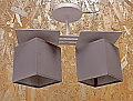 AU3530/2 WH+GR Светильник потолочный E27 2*60W Матовый бежевый