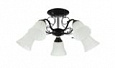*COLOSSEO optima 72131/5C