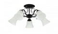 *COLOSSEO optima 72131/5C