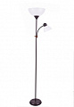 COLOSSEO optima 41219/F ALFEO венге/никель E27 1*100W, E14 1*40W Торшер